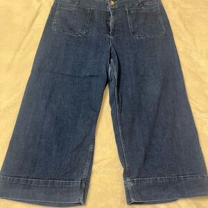 Anthropologie Dark Blue Wide Leg Cropped Collette by Maeve